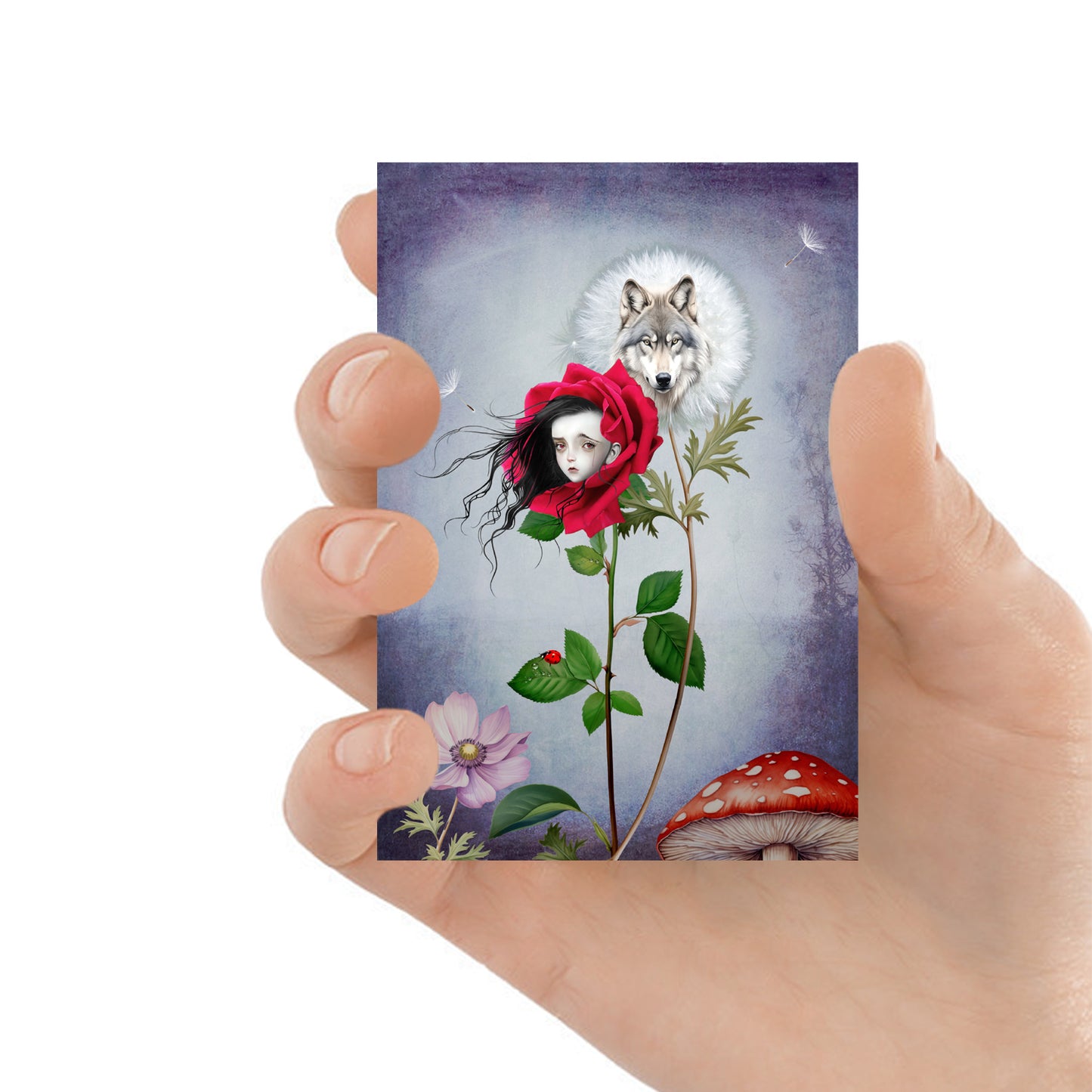ACEO art card featuring Red Riding Hood & Wolf, held in hand—Floral Fairy tale art style with whimsical elements.